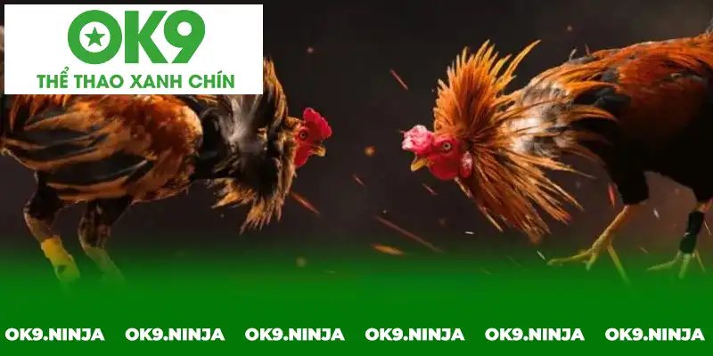 Tìm hiểu các nội dung bên lề để đảm bảo trải nghiệm mượt mà xuyên suốt Tìm hiểu các nội dung bên lề để đảm bảo trải nghiệm mượt mà xuyên suốt
